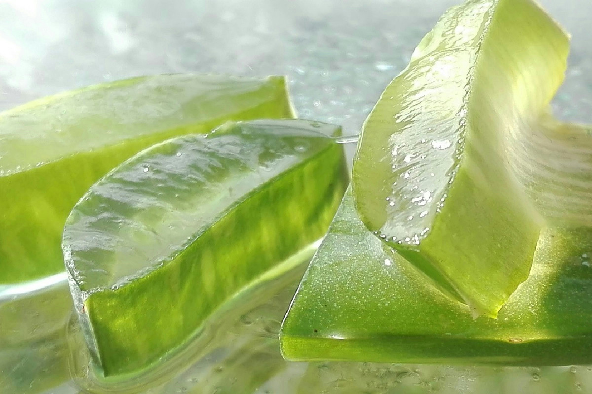 Aloe Vera Ultra, il segreto quotidiano per energia, digestione leggera e difese al massimo