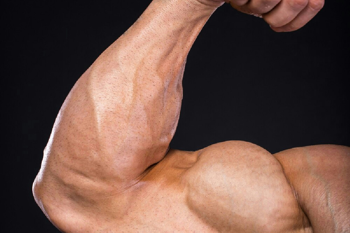 L’allenamento poco conosciuto che sviluppa braccia forti e definite evitando la massa tradizionale